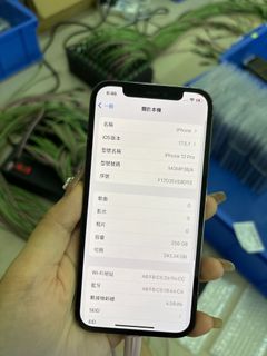 （分類：）位於 。 由 kyralam13 提交（商品編號 1312570940，圖片 1）。簡介： 。