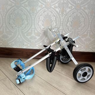 （分類：）位於 。 由 tycccc. 提交（商品編號 1312784180，圖片 1）。簡介： 。
