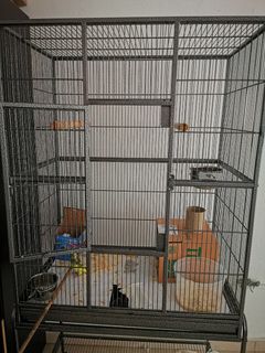 (Category: ) located in . Submitted by katevo (Listing ID 1312808241, Image 1). Description: .