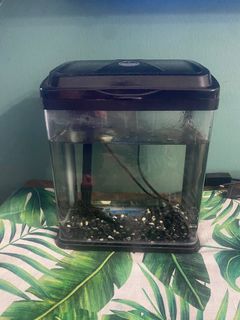 (Category: ) located in . Submitted by yewtiaocr (Listing ID 1312689182, Image 1). Description: .