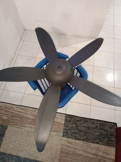 (Category: ) located in . Submitted by izgiggs (Listing ID 1312817948, Image 1). Description: .