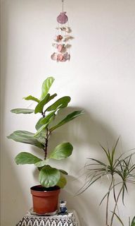 (Category: ) located in . Submitted by raindropmestudio (Listing ID 1312834442, Image 1). Description: .