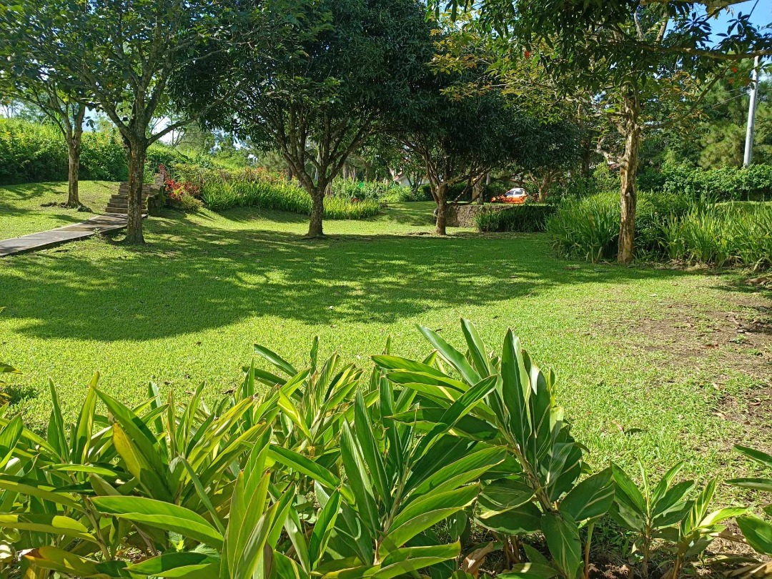 (Category: ) located in . Submitted by fhr_properties (Listing ID 1312804877, Image 1). Description: .