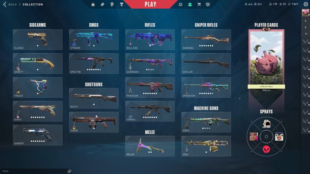 18 VP Skins Valorant Account Stacked Silver 3, Video Gaming, Gaming ...