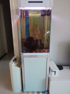 （分類：）位於 。 由 annabears 提交（商品編號 1312890710，圖片 1）。簡介： 。