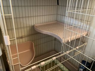 （分類：）位於 。 由 chansan2 提交（商品編號 1312844427，圖片 1）。簡介： 。