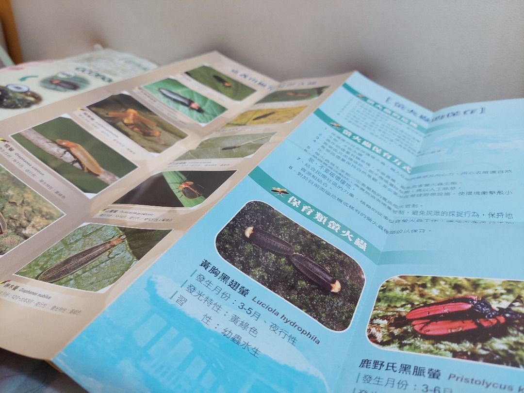 佳里螢火蟲導覽摺頁（臺灣）, 興趣及遊戲, 書本 & 文具, 書本及雜誌 - 旅遊書 - Carousell