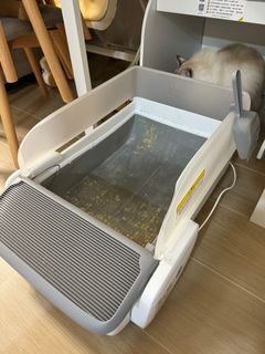 （分類：）位於 。 由 leannehy 提交（商品編號 1312626985，圖片 1）。簡介： 。
