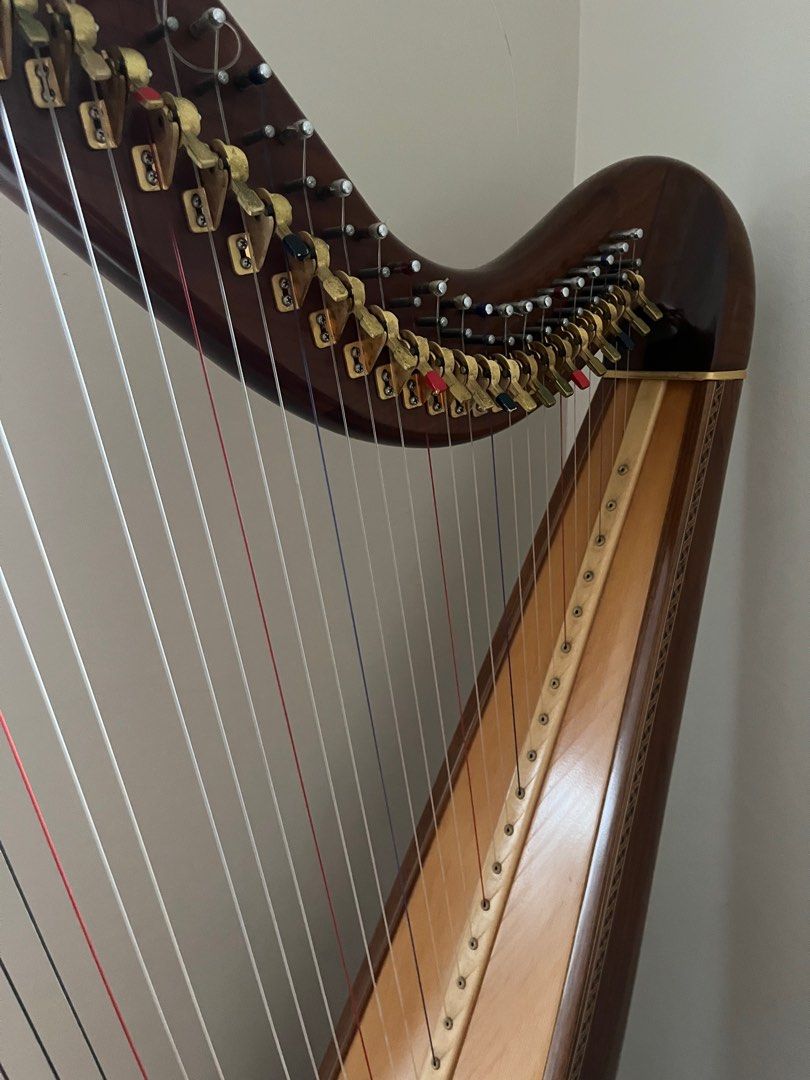 弦楽器 AOYAMA EXCELENT HARP STRINGS AOYAMA EXCELENT HARP STRINGS