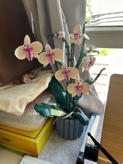 （分類：）位於 。 由 littletree233 提交（商品編號 1312908214，圖片 1）。簡介： 。