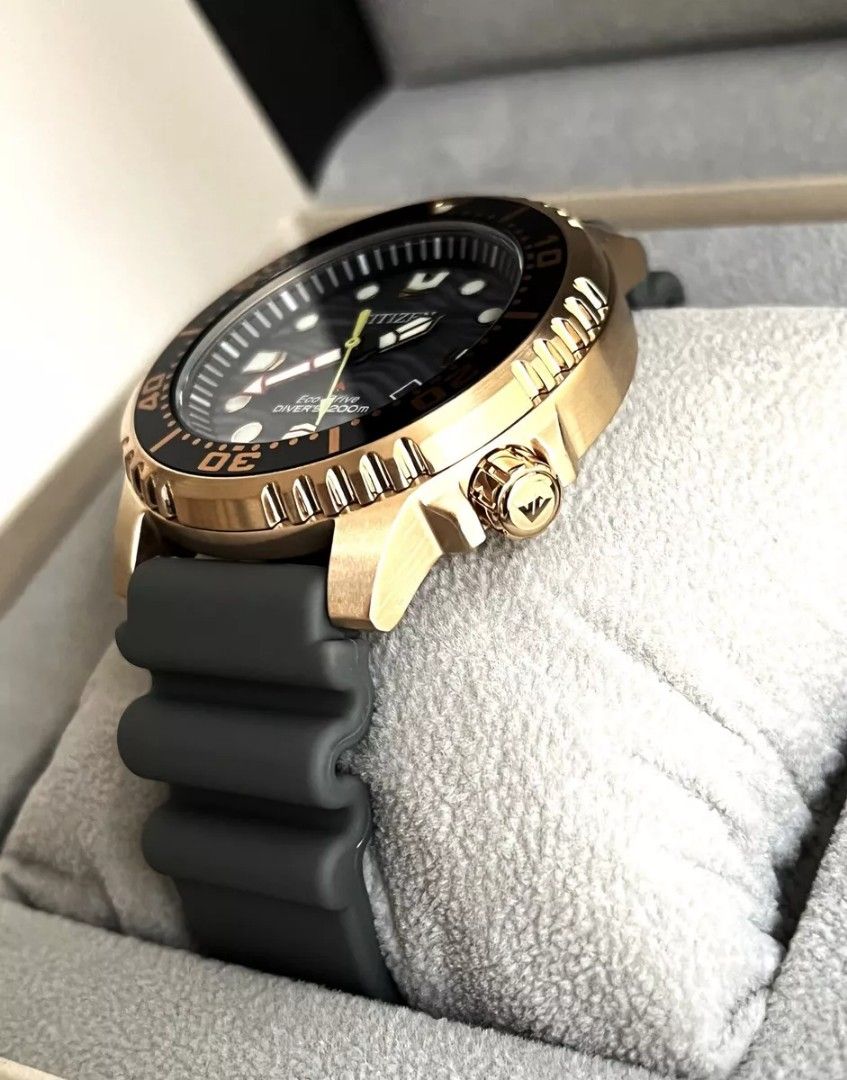 Citizen promaster diver gold cheap