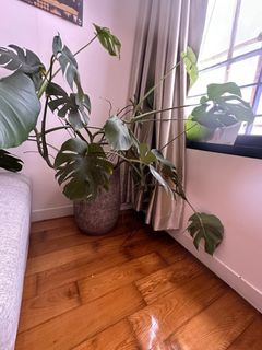（分類：）位於 。 由 Sandy 提交（商品編號 1312922725，圖片 1）。簡介： 。