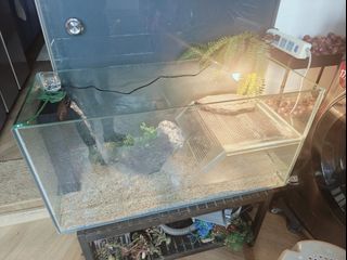 (Category: ) located in . Submitted by blacktipshark (Listing ID 1313011114, Image 1). Description: .
