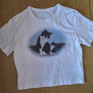 （分類：）位於 。 由 t.yan_store 提交（商品編號 1313226818，圖片 1）。簡介： 。