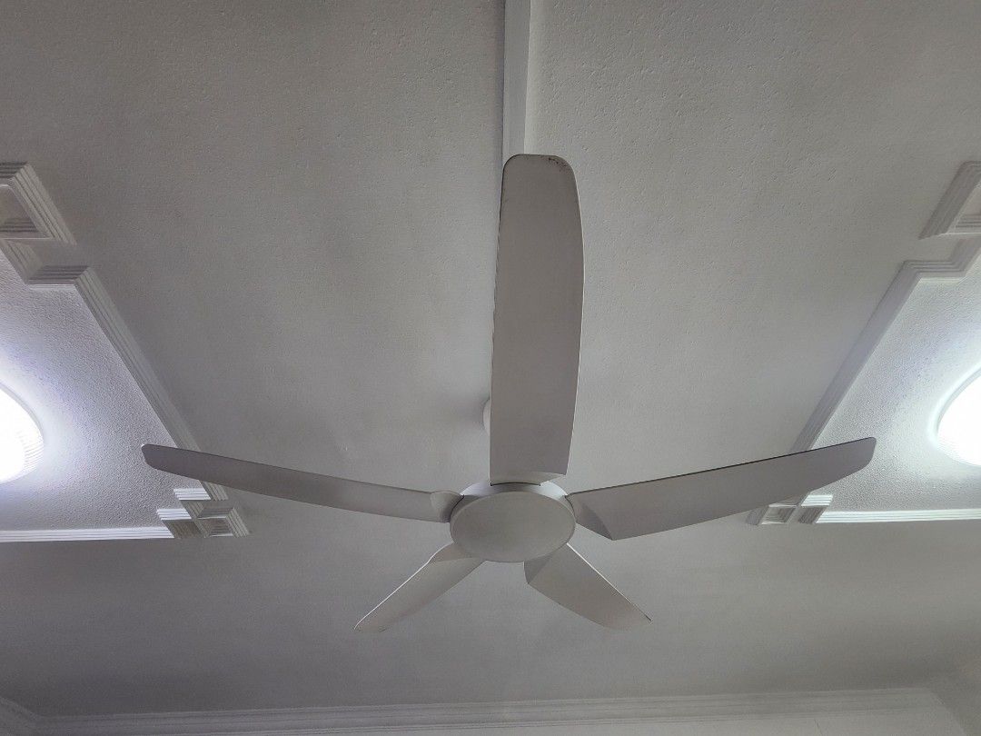 Alpha Colorful Ceiling Fan Alpha Fan Ceiling Fan 56