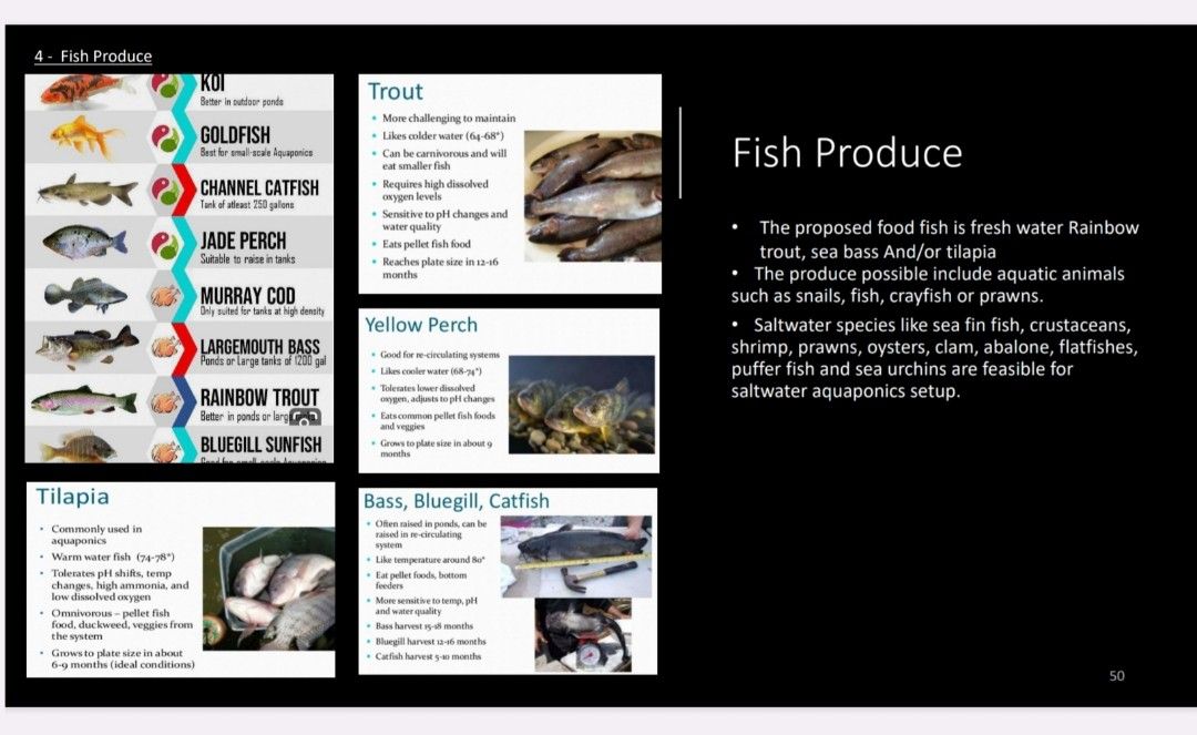 Aquaponics Factory Builder63109199502466113