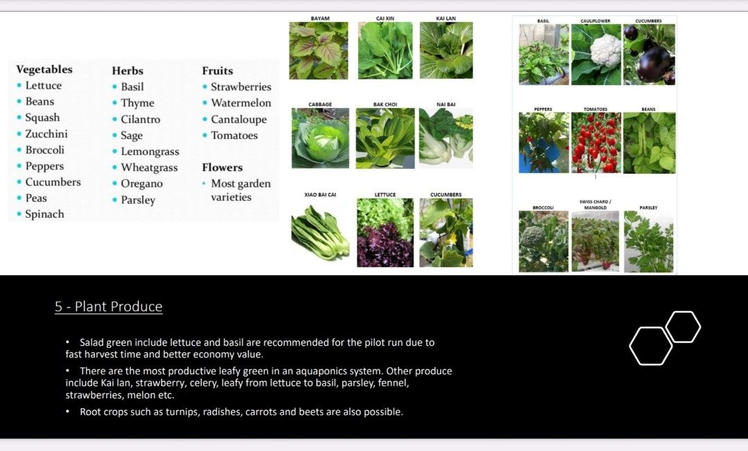 Aquaponics Factory Builder63109199502466114