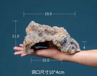 （分類：）位於 。 由 outerbear 提交（商品編號 1313212213，圖片 1）。簡介： 。