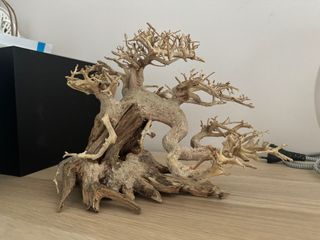 (Category: ) located in . Submitted by twentybeats (Listing ID 1313096876, Image 1). Description: .