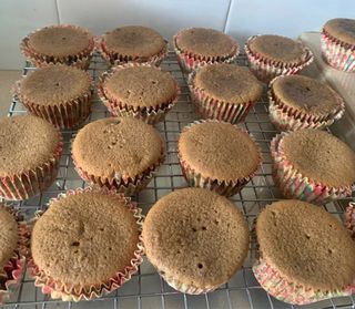 (Category: ) located in . Submitted by fishybakery (Listing ID 1313110399, Image 1). Description: .