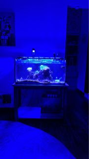 (Category: ) located in . Submitted by chevynng (Listing ID 1313064920, Image 1). Description: .