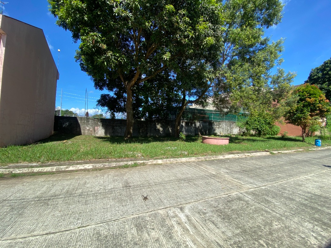 LOT ONLY IN CAMELLA CERRITOS MINTAL DAVAO, Property, For Sale, Lot on