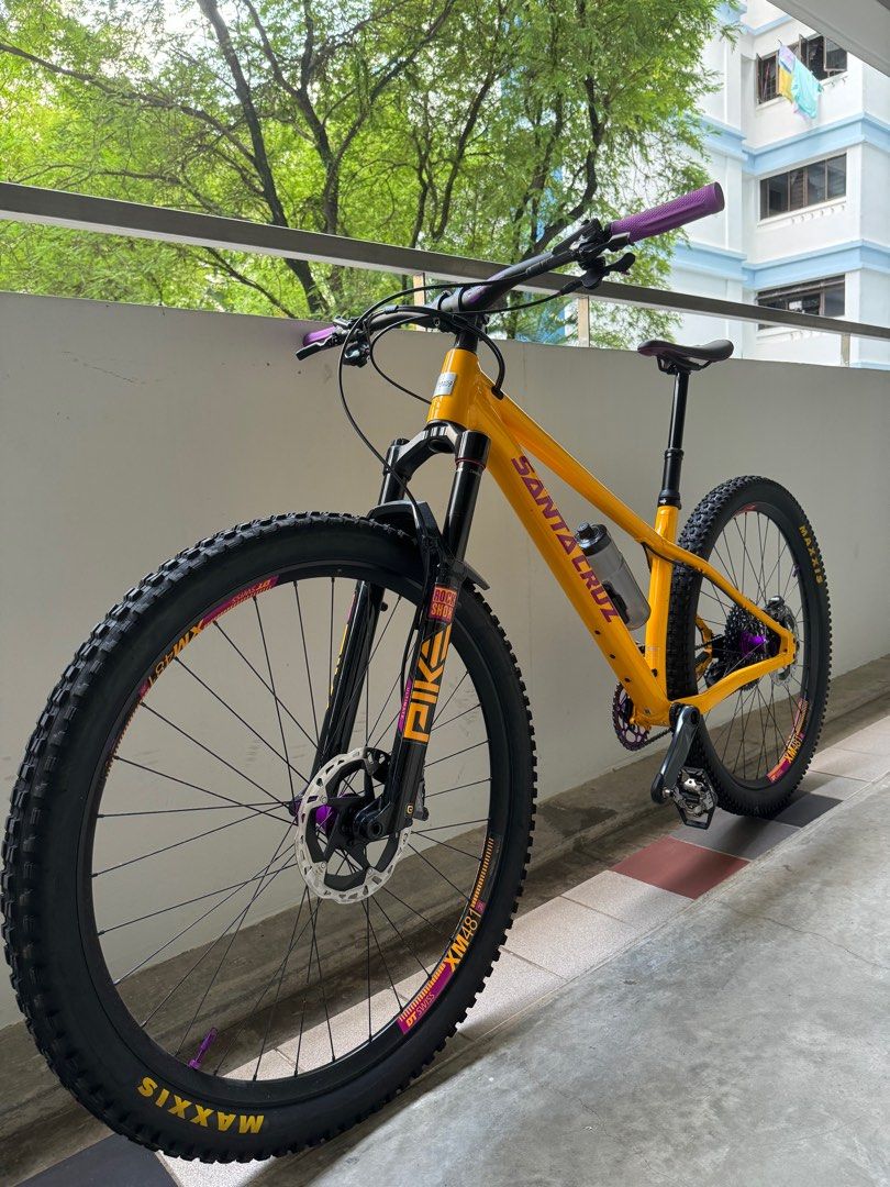 Used santa cruz chameleon top