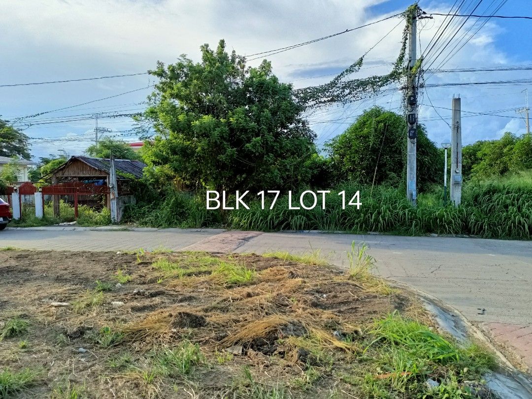 Town & Country Dasma (Category: Lot) located in Manila. Submitted by cflor92352 (Listing ID 1313057569, Image 1). Description: Blk 17 Lot 14 Socorro Street Phase 1 Town &Country Dasmarinas Cavite 240 square meters near La Salle Dasma updated tax clean title open space beside is reserved for garden/park purposes for phase 1 community.