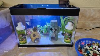(Category: ) located in . Submitted by taelmobile (Listing ID 1313264322, Image 1). Description: .