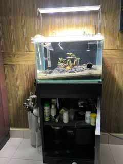 (Category: ) located in . Submitted by kun13k4 (Listing ID 1313352027, Image 1). Description: .