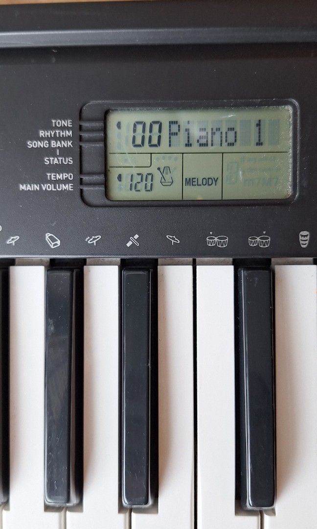 Casio CTK 245 keyboard with stand and adaptor