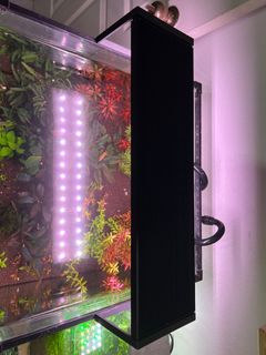 (Category: ) located in . Submitted by nigelcyz (Listing ID 1313285057, Image 1). Description: .