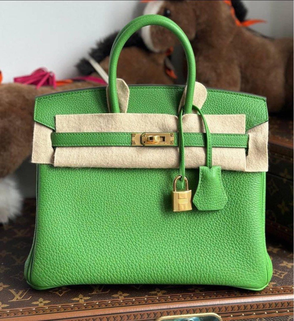 Yucca Birkin Bag Singapore ❗️DEAL Hermes Birkin 25 Vert Yucca