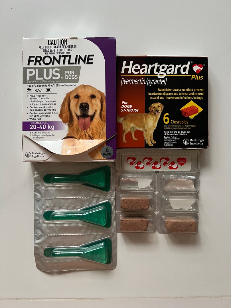 Frontline heartgard plus for dogs top