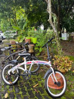 (Category: ) located in . Submitted by amad3 (Listing ID 1313290985, Image 1). Description: .