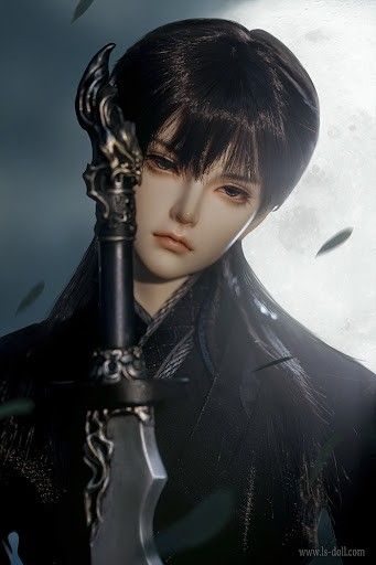 Loongsoul BJD Limited