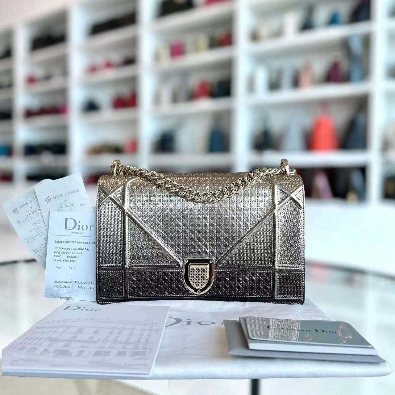 Dior diorama medium clearance