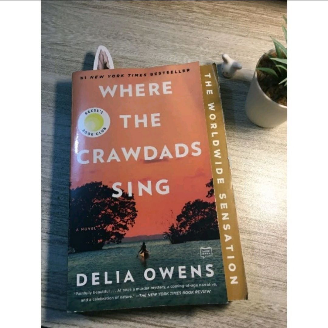 Second Hand Books: Eleano Oliphant is Completely Fine, Where the ...