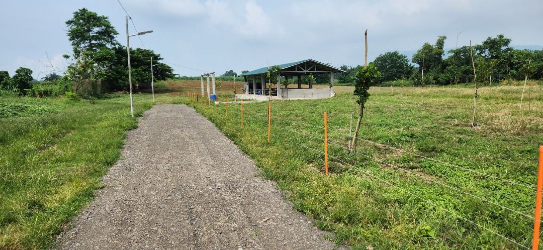 Week-end Farm outside Tagaytay Highlands (Category: Commercial) located in Manila. Submitted by lam.ig (Listing ID 1313279090, Image 2). Description: 15,000 sqm or 1.5 hectares 5 minutes from Tagaytay Highlands Batino Gate 10 minutes from Tagaytay Midlands Golf Course Clubhouse Cool climate (630 feet above sea level) Located right at the edge of a Village in Tanauan City, Batangas, Surrounded by SMDC Tagaytay Highlands property future devt. Very 