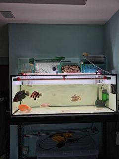 (Category: ) located in . Submitted by rezz88 (Listing ID 1307414239, Image 1). Description: .