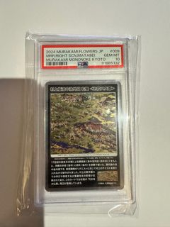 （分類：）位於 。 由 alfc8 提交（商品編號 1317700097，圖片 1）。簡介： 。