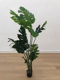 （分類：）位於 。 由 yardsale99 提交（商品編號 1317704474，圖片 1）。簡介： 。