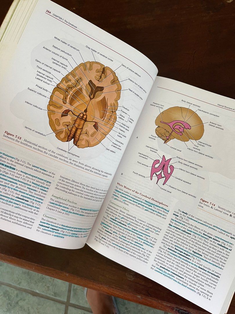 Clinical Neuroanatomy Snell (Category: Textbooks) located in Manila. Submitted by decluttering.md21 (Listing ID 1317575325, Image 3). Description: With some highlights on some chapters only.