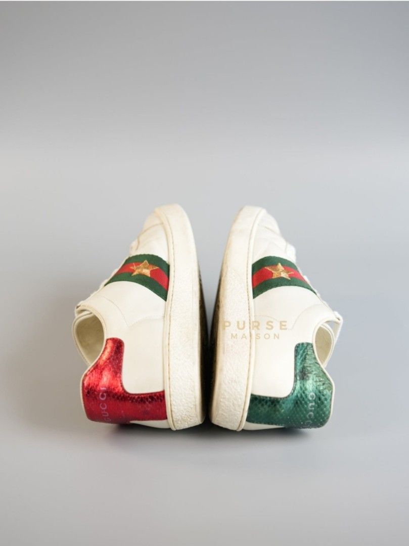 Gucci ace buy online