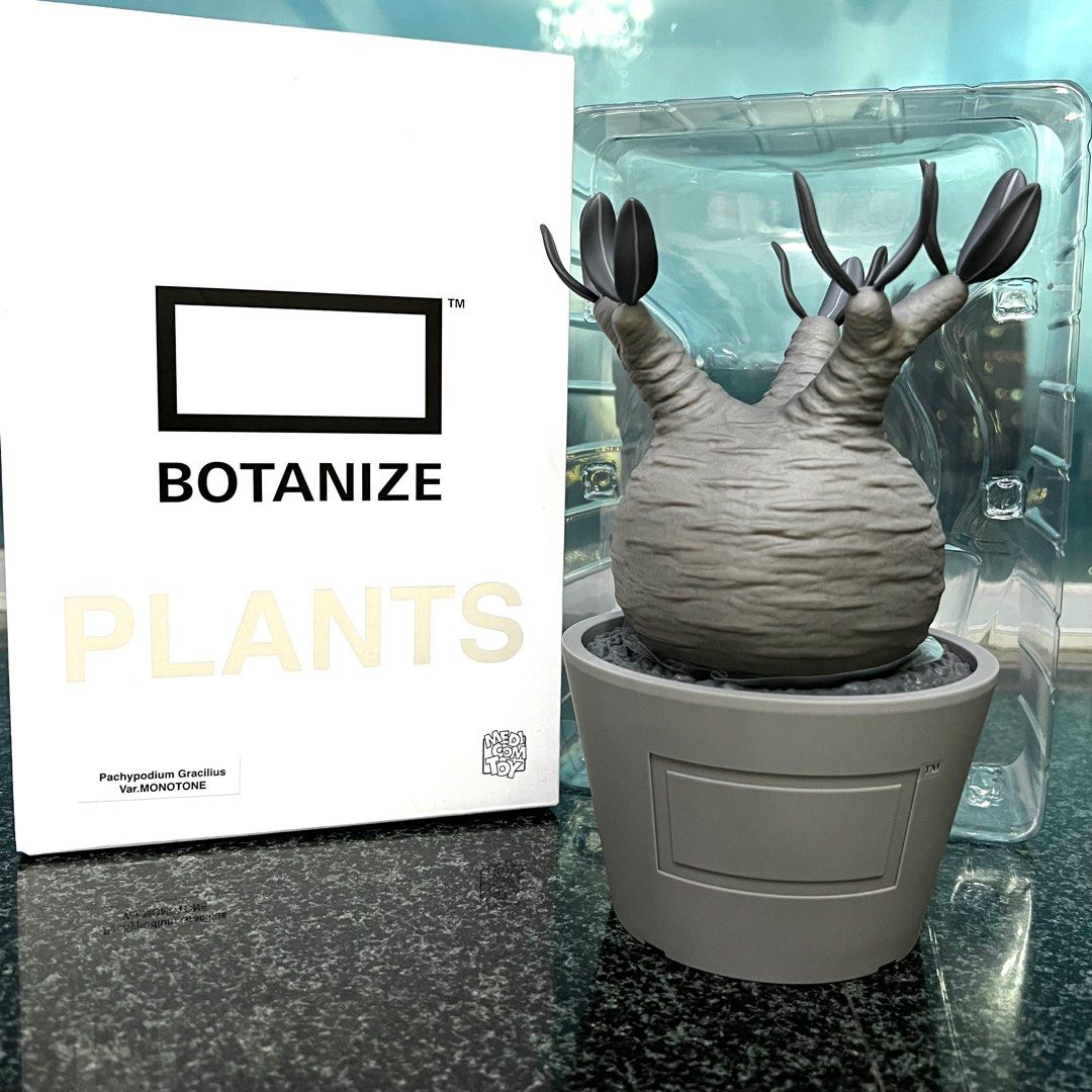 Medicom Toy x Botanize Plants - Pachypodium Gracilius Var