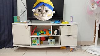 (Kategori: ) berada di . Dikirim oleh kosdella (ID iklan 1317660595, Gambar 1). Deskripsi: .