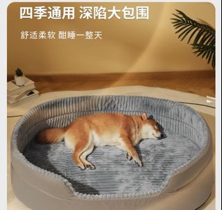 （分類：）位於 。 由 majortomzz 提交（商品編號 1319266290，圖片 1）。簡介： 。