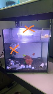 (Category: ) located in . Submitted by iamoceyy (Listing ID 1319303950, Image 1). Description: .
