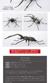 （分類：）位於 。 由 alephtang75299 提交（商品編號 1319276394，圖片 1）。簡介： 。