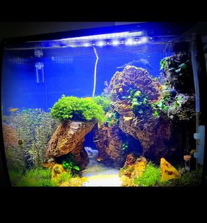 (Category: ) located in . Submitted by grunt (Listing ID 1319276034, Image 1). Description: .